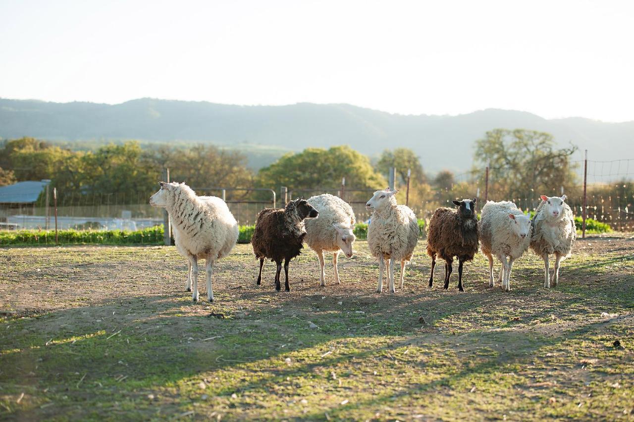 ホテル Reves De Moutons パソロブレス エクステリア 写真