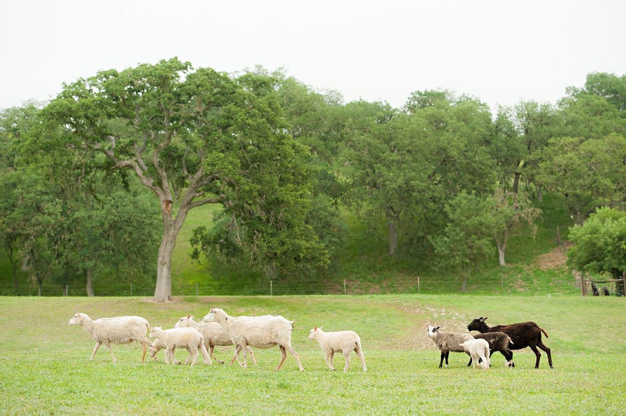 ホテル Reves De Moutons パソロブレス エクステリア 写真