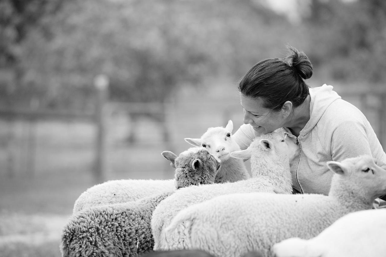 ホテル Reves De Moutons パソロブレス エクステリア 写真