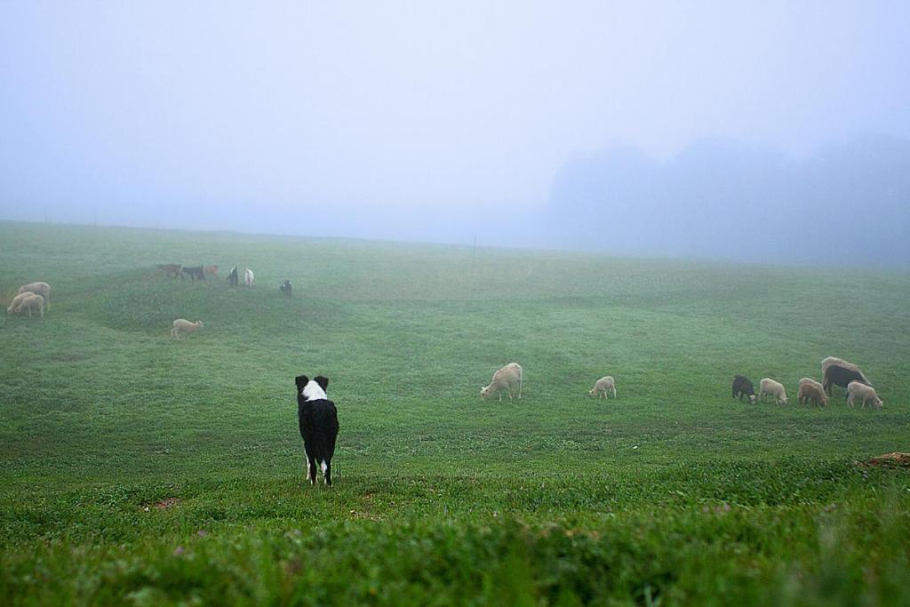ホテル Reves De Moutons パソロブレス エクステリア 写真
